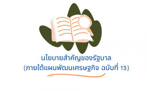 ประเด็นการวิจัย